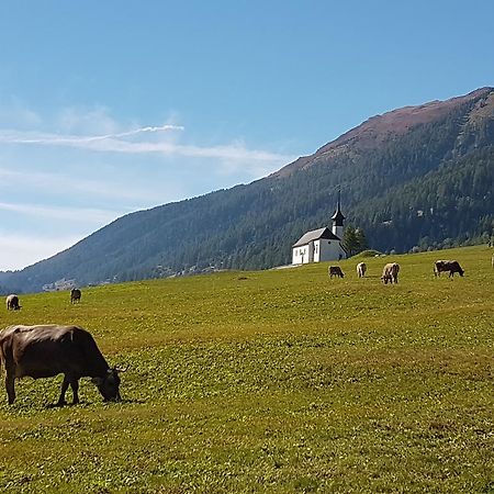 Chalet Daheim Reckingen 外观 照片