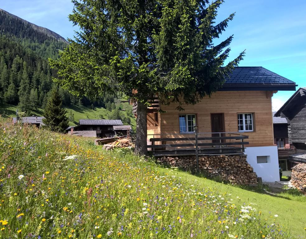 Chalet Daheim Reckingen 外观 照片